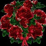 Profile Picture of Daniel Aslan (@daniel.aslan.961) on Instagram