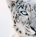 Profile Picture of Mandi Wolfe (@mandi.wolfe.50) on Facebook