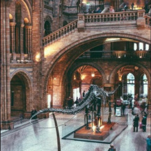 Profile Picture of Kat Cender (@katcender) on Poshmark