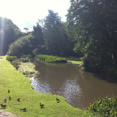 Profile Picture of Mark Morton (@mwillowmort) on Twitter