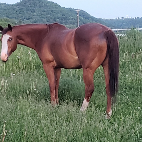 Profile Picture of Jackie Schwier (@jackieschwier) on Poshmark