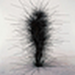 Profile Picture of Ms Baby's Photoroll (@ms baby's photoroll) on Flickr