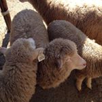 Profile Picture of EricPong (@kinpong_ko) on Instagram