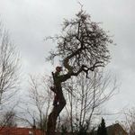 Profile Picture of Michael Sender (@michi48565) on Instagram