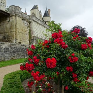 Profile Picture of Eric Buisson (@eric.buisson.507) on Facebook