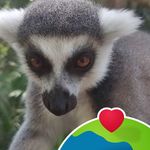 Profile Picture of Juliana Janette Osuna Ochoa (@janetteosuna) on Instagram