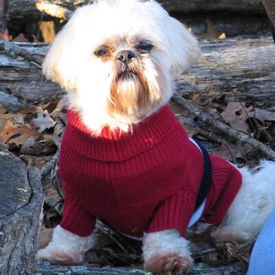 Profile Picture of Tanner Walters (@tannerwalters) on Twitter