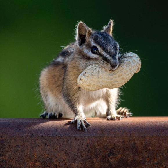 Profile Picture of Judy Tailby (@judytailby) on Poshmark