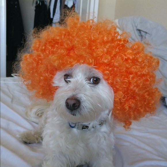 Profile Picture of Magumi Grispino (@magumig) on Poshmark