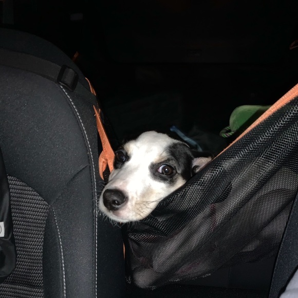 Profile Picture of Andrea Alvarez (@andalvy) on Poshmark