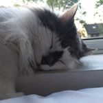 Profile Picture of Jodi Reid (@reidright19) on Instagram