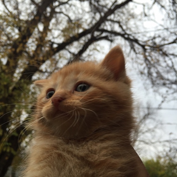 Profile Picture of Kendall Alexander (@kendall226) on Poshmark