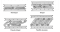 Profile Picture of Polymer soil stabilization - Wikipediaon Wikipedia
