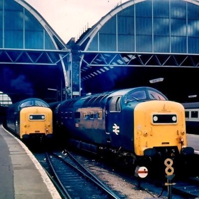 Profile Picture of Kevin William Hayes (@kevin0u) on Twitter