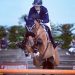 Profile Picture of clarereyno (@clarereyno) on Instagram