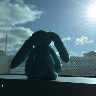 Profile Picture of Chloe Hsu (@ChloewHsu) on Twitter