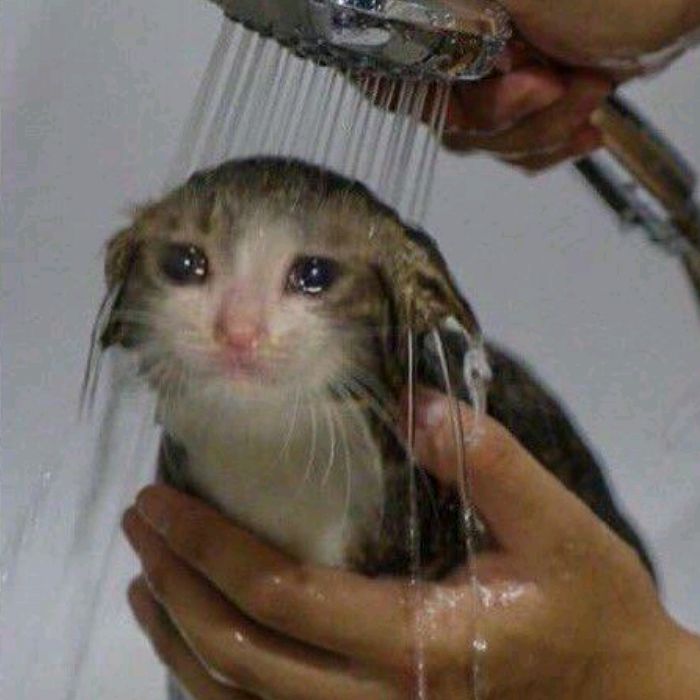 Profile Picture of jamestur (@jamestur) on Tiktok