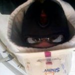 Profile Picture of Terry Gulledge (@terrygulledge) on Instagram