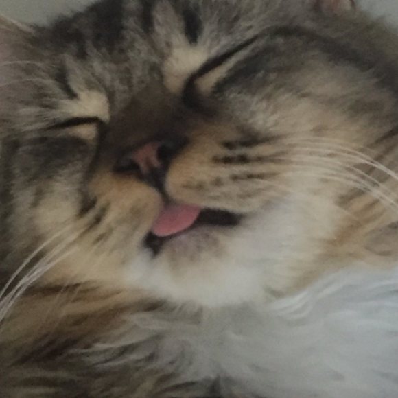 Profile Picture of Cassandra Slack (@cassandraslack) on Poshmark