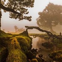 Profile Picture of Juan Jalomo (@juan-jalomo-2) on Quora