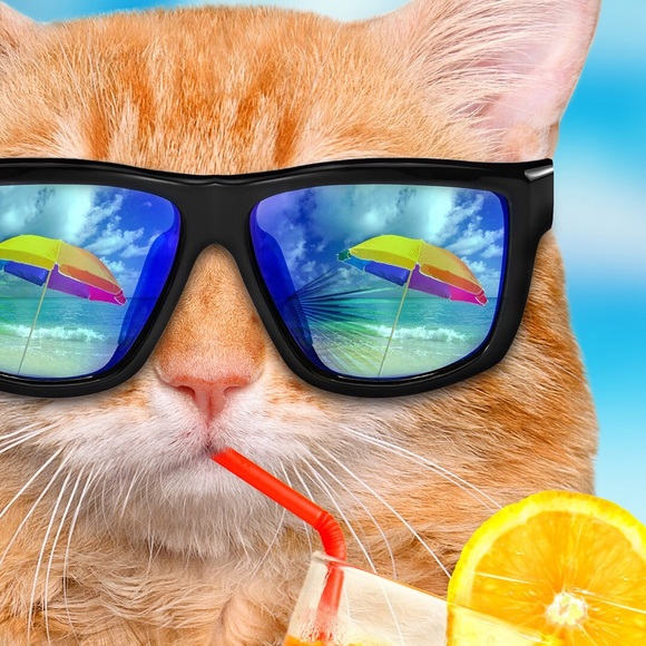 Profile Picture of Karen Connor (@kiloalpharomeo) on Poshmark