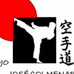 Profile Picture of Jose Colmenares (@dojojosecolmenares) on Instagram