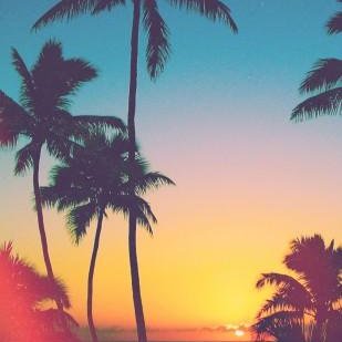 Profile Picture of Blake Perrin (@Blake_Perrin13) on Twitter