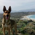 Profile Picture of David (@javid20102018) on Instagram