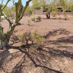 Profile Picture of Jose Prieto (@Jose-Prieto) on Facebook