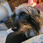 Profile Picture of Mona-Jean Bender (@mjcbender) on Instagram