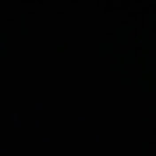 Profile Picture of Jeffrey Collier (@collierj8) on Youtube