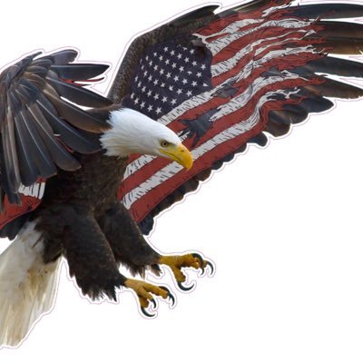 Profile Picture of Torr (@RyanCharlton36) on Twitter