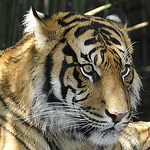 Profile Picture of Stephen Mcallister (@revsam2013) on Flickr