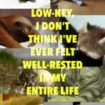 Profile Picture of Linda (@chadmaze01) on Instagram