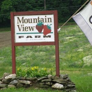 Michael Weslowski - Myspace Profile Picture of Michael Weslowski (@mtnviewfarm) on Myspace