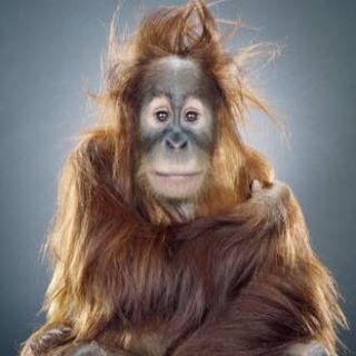 Profile Picture of Scott LureChucker (@Scott-LureChucker) on Facebook