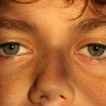 Profile Picture of Bradley Harriott (@bradley.harriott) on Instagram