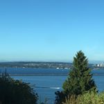 Profile Picture of Cecilia Fiedler-Piche (@ceciliafiedler) on Instagram