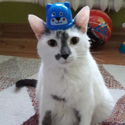 Profile Picture of Patryk Miziolek (@MiziolekPatryk) on Twitter