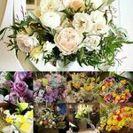 Profile Picture of Nicholas Wingo (@wingoln) on Instagram