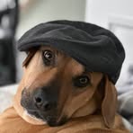 Profile Picture of Paula Sable (@paula.sable) on Facebook