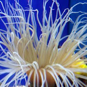 Profile Picture of James Ennen. (@jamesennen.6625) on Youtube