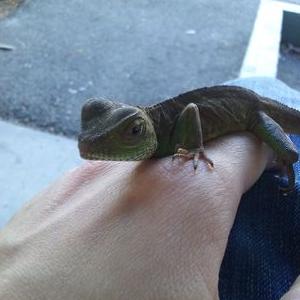 Profile Picture of Craig Helgeson (@CraigHelgeson) on Twitter