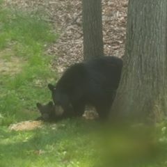 Profile Picture of James Stackewicz (@@jamesstackewicz) on Tiktok