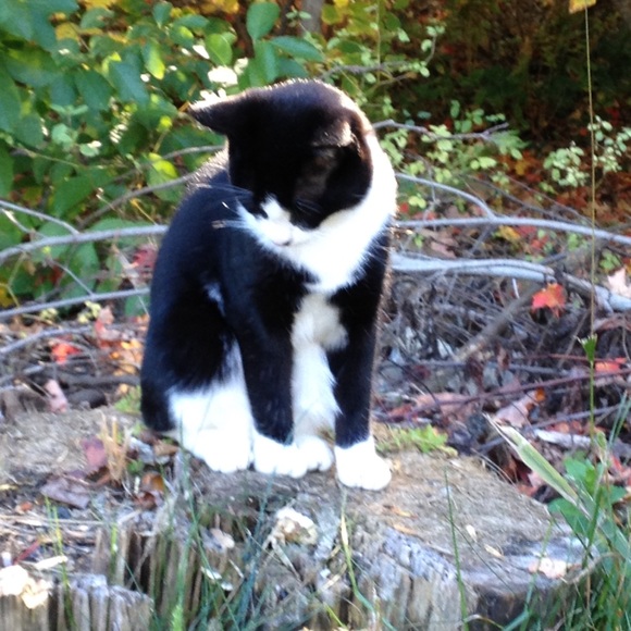 Mark Pekar - Poshmark Profile Picture of Mark Pekar (@markpekar) on Poshmark