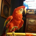 Profile Picture of janet (@janetruhr) on Instagram