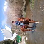 Profile Picture of Daniela Cossu (@Daniela-Cossu) on Facebook