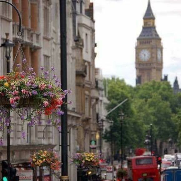 Profile Picture of Kristi Orsagos (@ckal4) on Poshmark