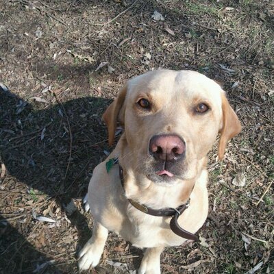 Profile Picture of The Real Jason Getz (@JasonGetz1) on Twitter