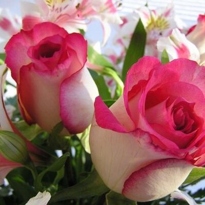 Profile Picture of Gladys Dora Cuellar (@gladys_dora) on Twitter